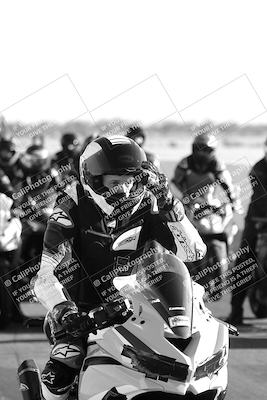 media/Jan-31-2025-2WTD (Fri) [[9ef8270bad]]/1-Around the Pits/